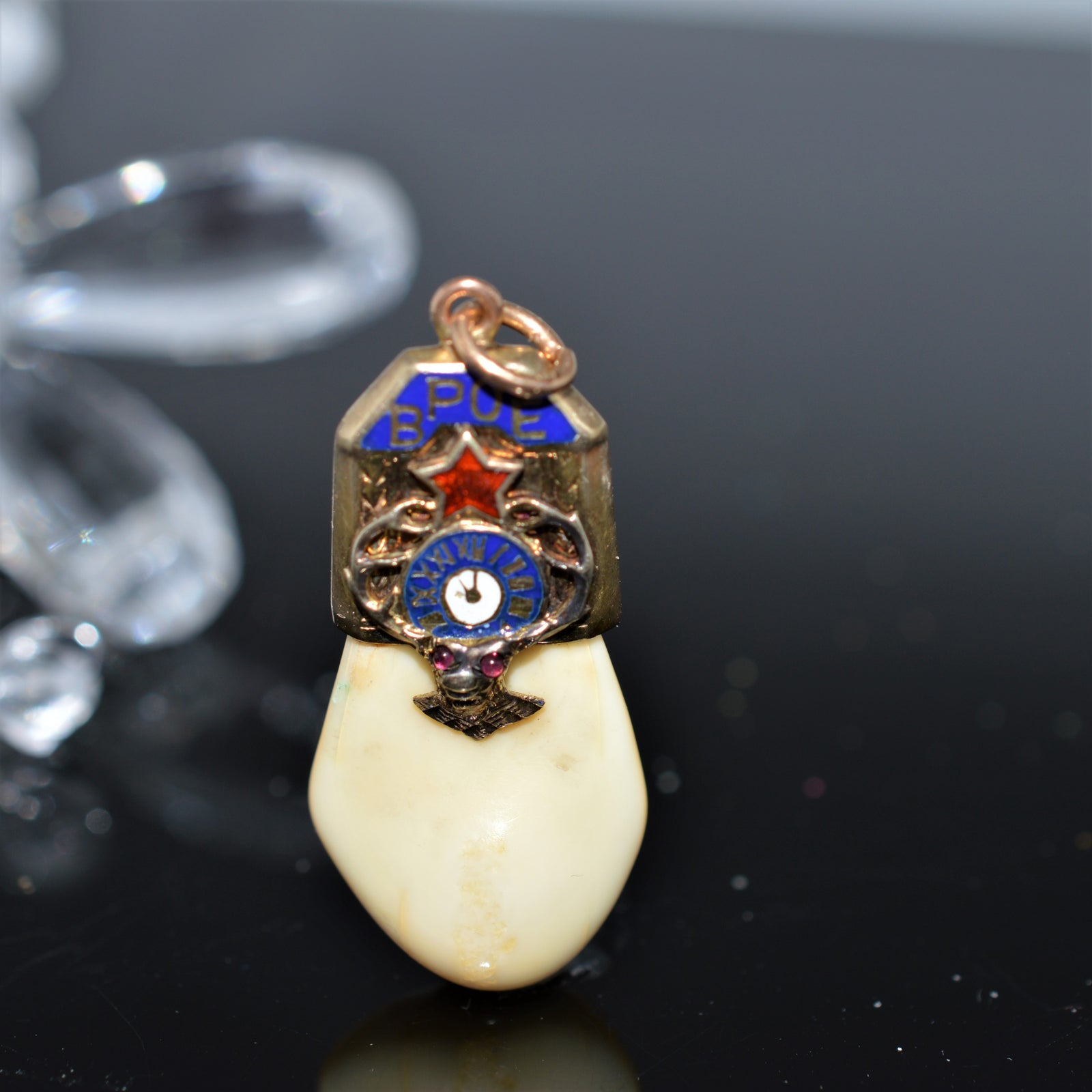 14K Yellow Gold Elk's Tooth Pendant