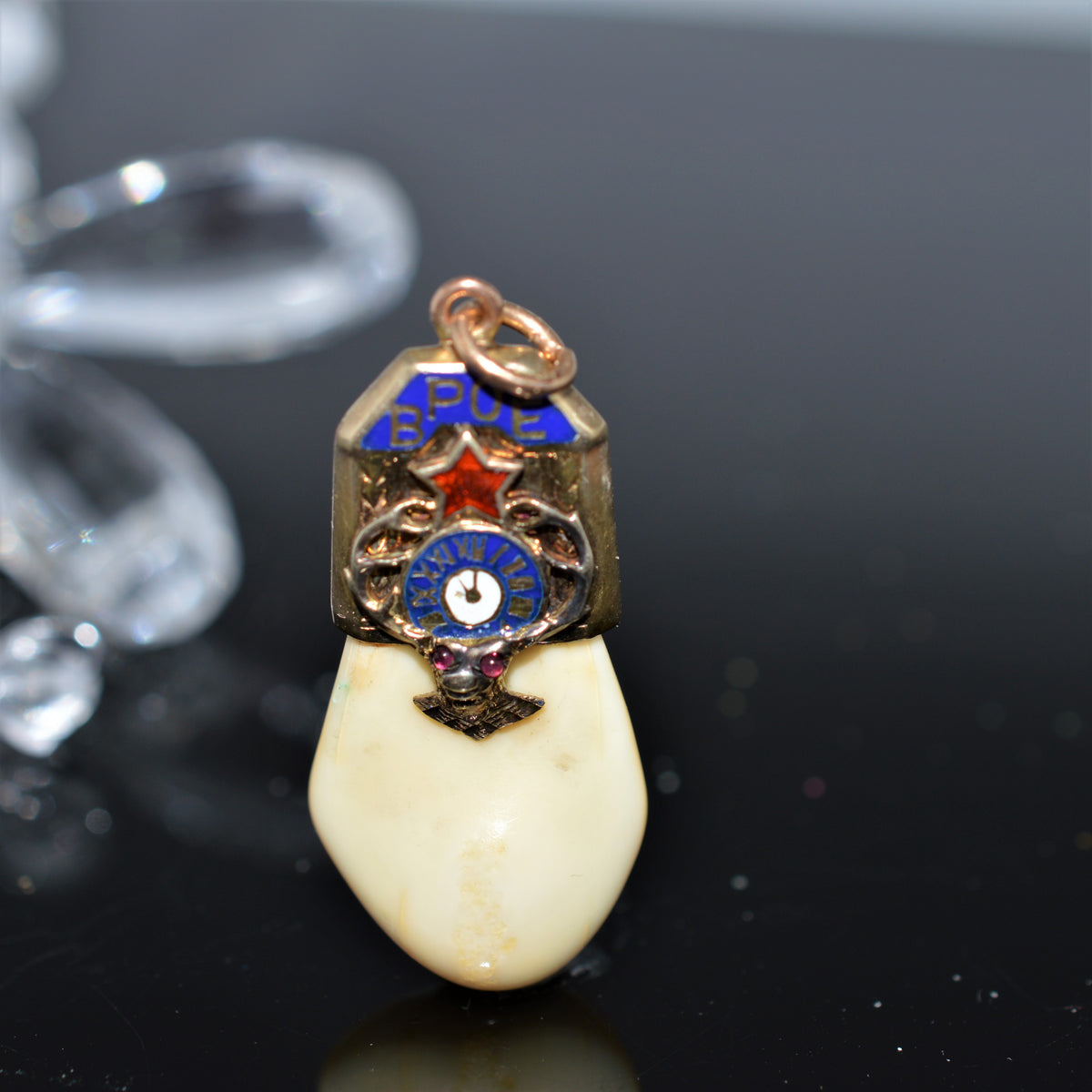 14K Yellow Gold Elk&#39;s Tooth Pendant