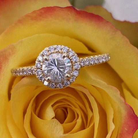 14K Yellow Gold Round Brilliant Cut Diamond Engagement Ring with Halo