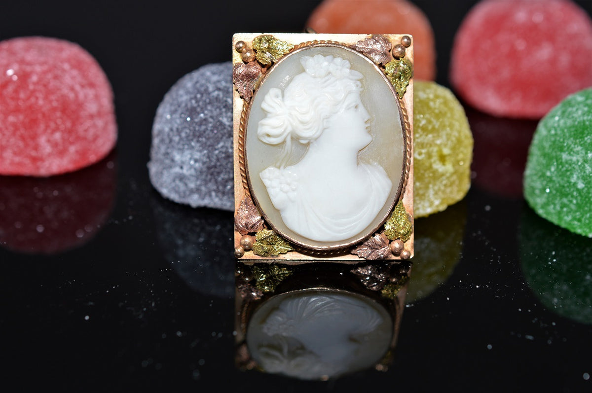 14K Tri-Color Oval Cameo in a Rectangular Frame Pin/Pendant