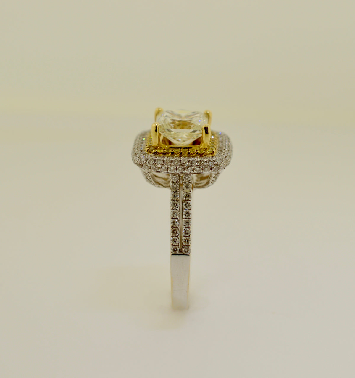 Two Tone Double Halo Princess Cut Diamond Engagement Ring