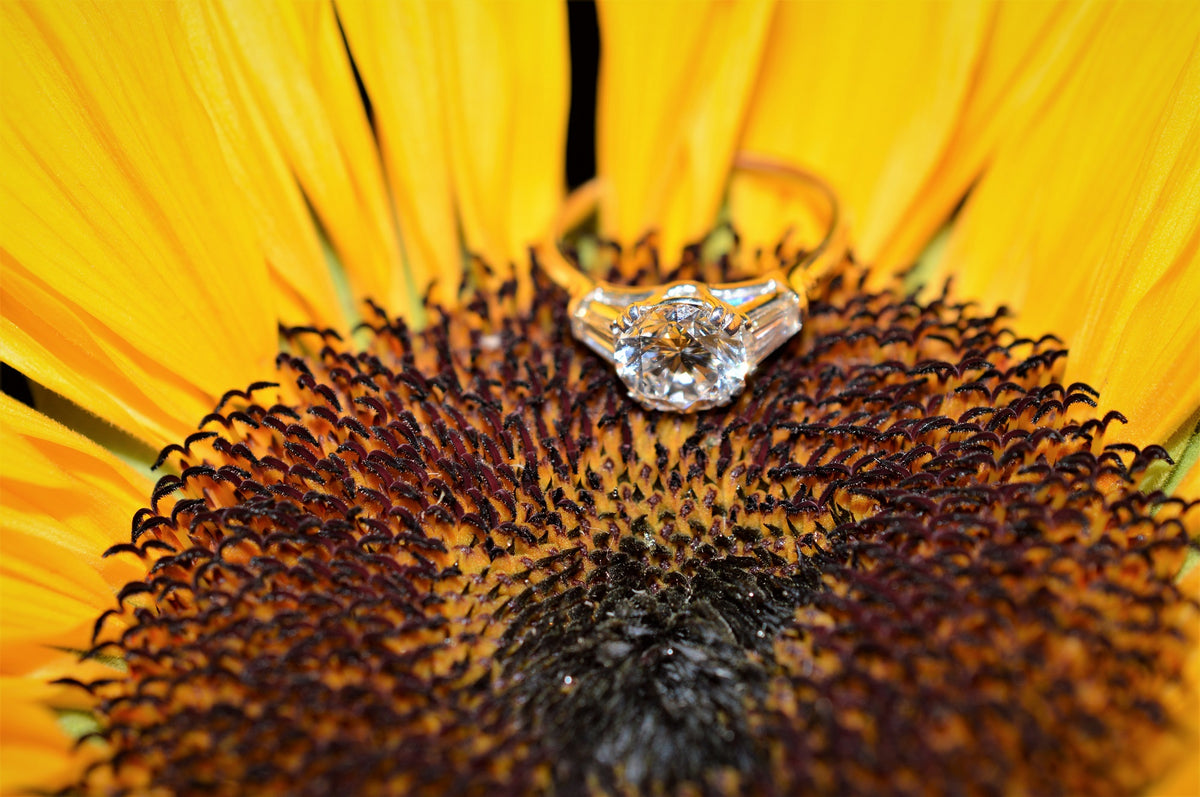 Platinum Diamond Engagement Ring From Harry Winston