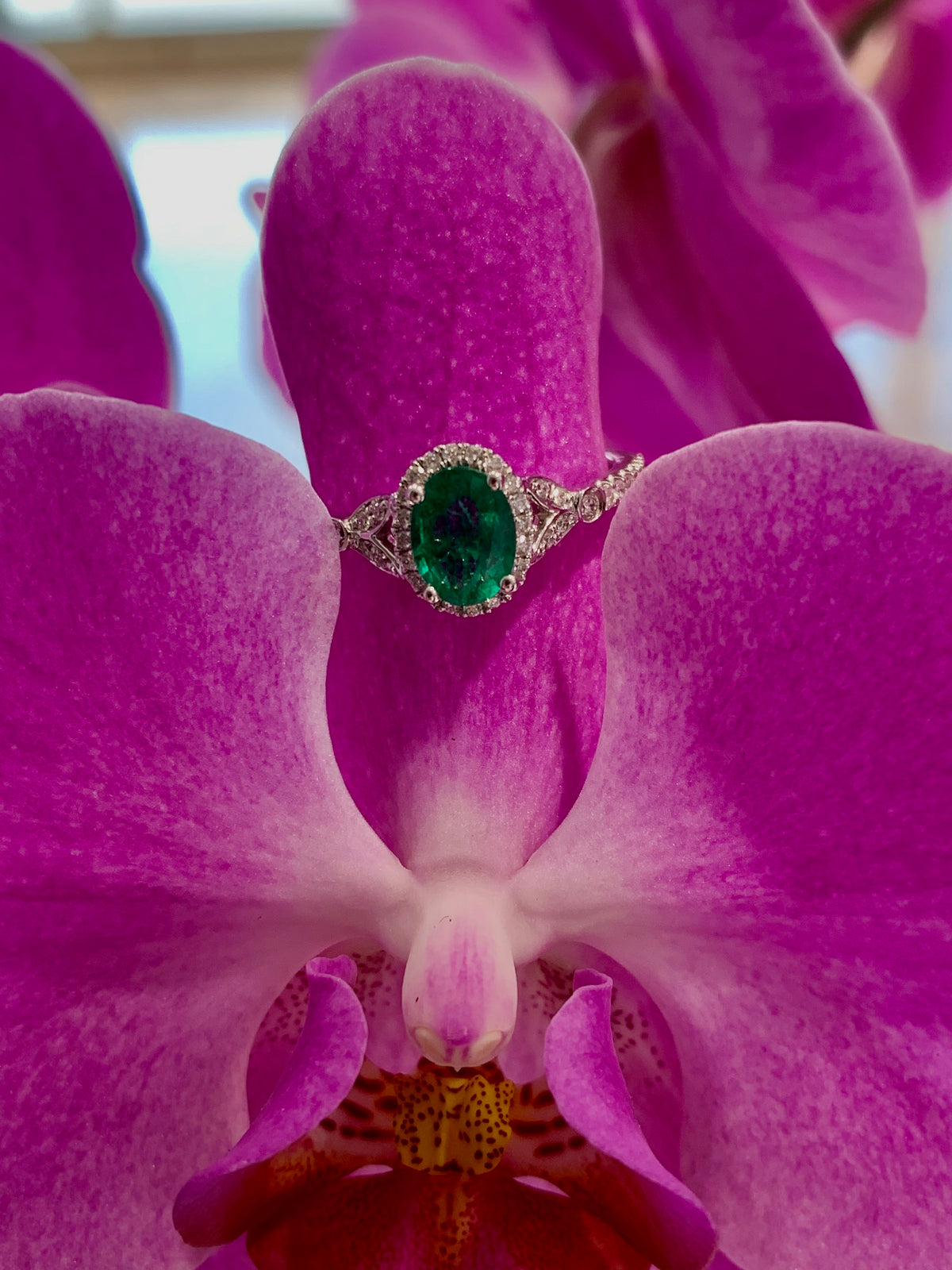 14K White Gold Oval Emerald and Diamond Fashion Ring