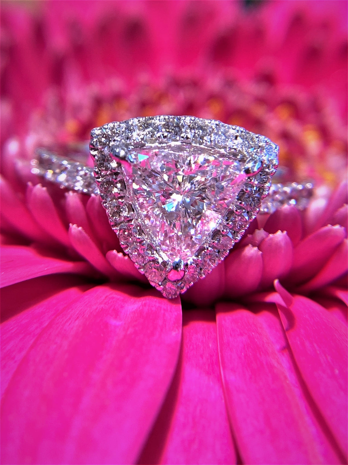 Trillion Cut Diamond with Halo White Gold Engagement Ring